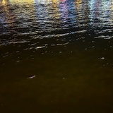 下雨又下雪还刮风