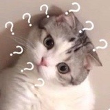 刚刚好v嗝儿