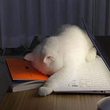 入水