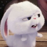 小细腿儿
