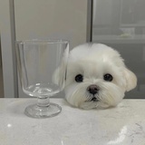 麦当劳在逃虾滑