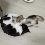 小二