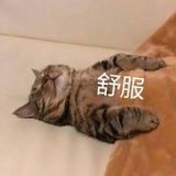 Fine.