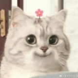 重输