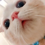 Bllllllarua