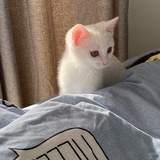 别让我胆子大