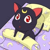 猫猫狗狗小可爱