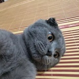 你好