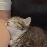 babalababa