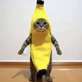 谁看见我丈夫了