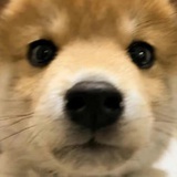 :)