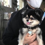 钟意