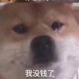 薄暮森林