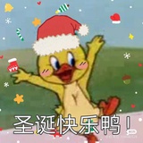 稀里糊涂vv