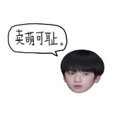 丁纯心替身