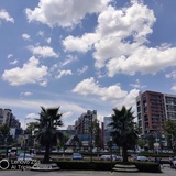 跳上水的鱼