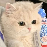 每天都假装努力