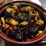 小谱哥