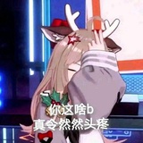 鱼哥