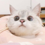 无关风月