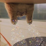 bubblemi