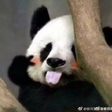 下水道网友