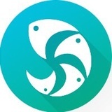 渲云