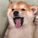 惹惹惹惹