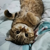 芯 心心💤