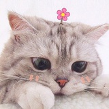 zoe