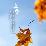 丹心何须言在口