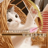 痕的绿奇马