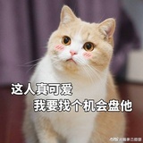 小冰