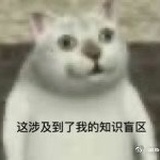 路过路过