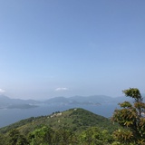 林小書