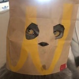 撸撸二狗狗