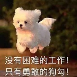 紫芋xm