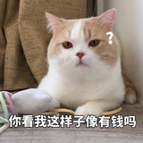 在喝茅台