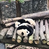 哎哟喂