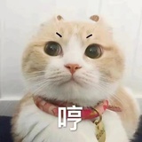 陈小花