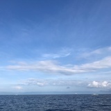 爨怼怼