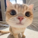 爷