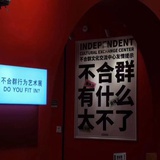 公主小麦