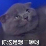 AAA@