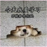 兮昕43302