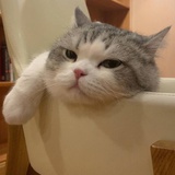 不要老熬夜