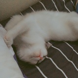 zxyuky