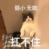llllb