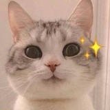 书韵流苏