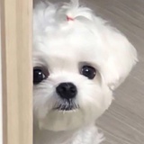 你才莫名其妙